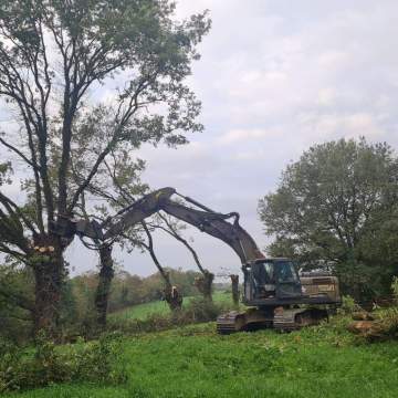 Elagage& abattage mécanisé