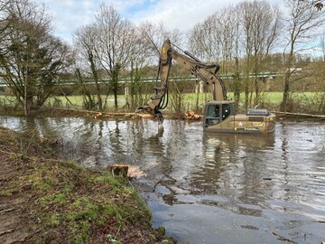 Pelleteuse en pleine opération d'abattage d'arbres dans une zone inondée