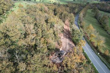 Travaux d'élagage d'arbres le long d'une route avec une pelleteuse