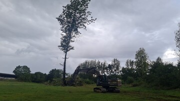 Engin forestier en pleine opération d'élagage d'un arbre imposant dans un champ ouvert
