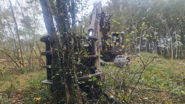 Pelleteuse équipée d'un grappin en train de saisir un arbre pour l'élagage