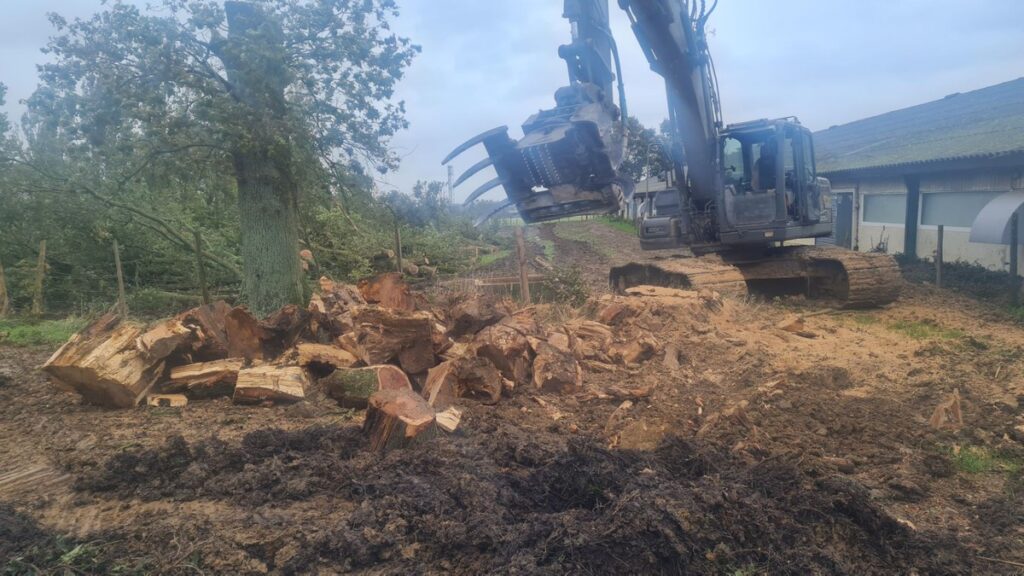 Manipulation de troncs et de souches après l'abattage d'un arbre
