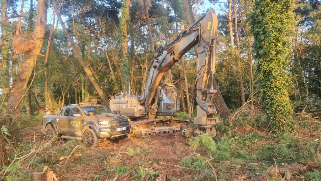 Pelleteuse sur un chantier forestier en pleine opération de déboisement