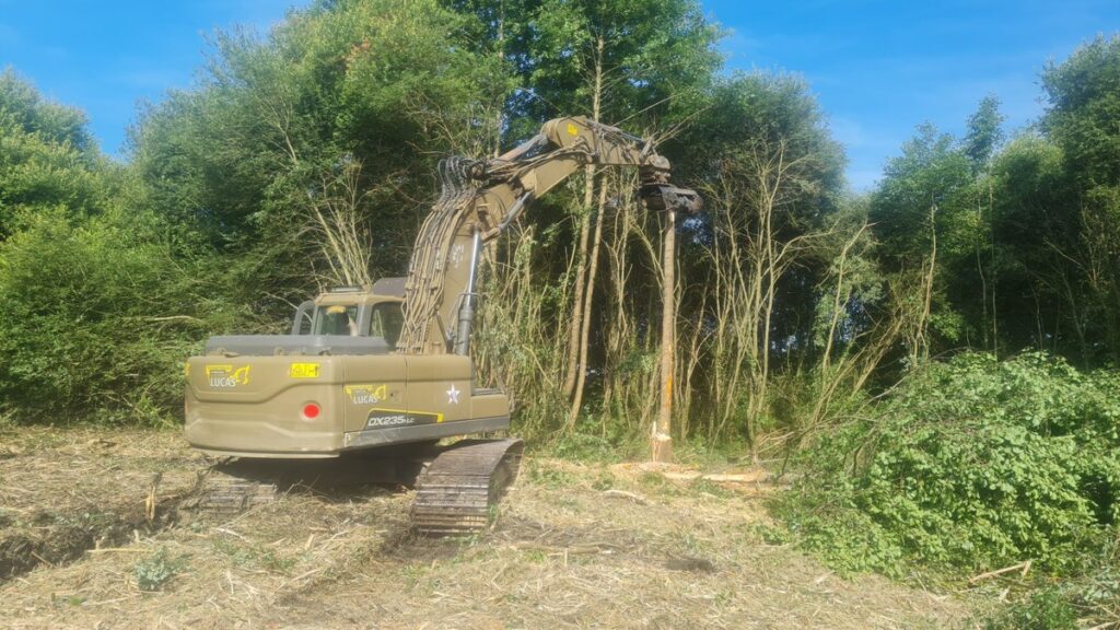 Engin TP LUCAS effectuant l’abattage d’un arbre dans une forêt près de Cholet, travaux d’élagage et de sécurisation