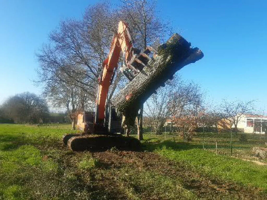 Pelleteuse TP LUCAS en train d’abattre et de déplacer un arbre de grande taille dans un terrain près de Cholet